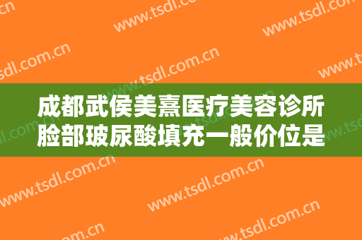 成都武侯美熹医疗美容诊所脸部玻尿酸填充一般价位是多少费用?贵不贵?