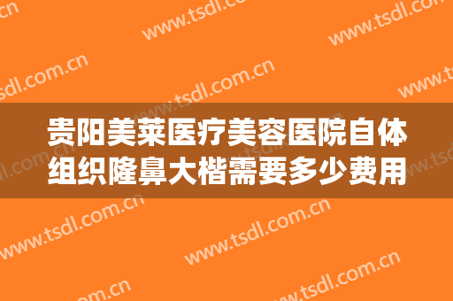贵阳美莱医疗美容医院自体组织隆鼻大楷需要多少费用?可靠吗?(贵阳美莱美容整形医院)