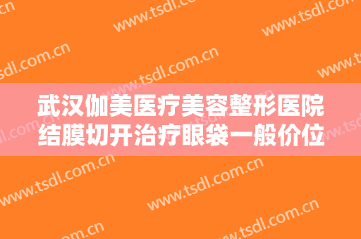 武汉伽美医疗美容整形医院结膜切开治疗眼袋一般价位是多少费用?有哪些优势?