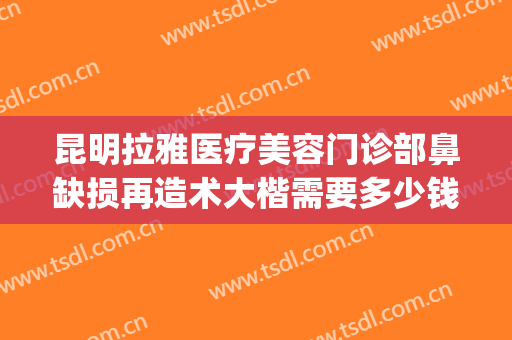 昆明拉雅医疗美容门诊部鼻缺损再造术大楷需要多少钱?贵不贵?(昆明鼻整形医生)