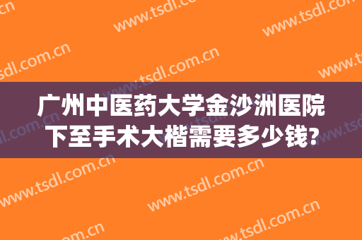 广州中医药大学金沙洲医院下至手术大楷需要多少钱?怎么样?(中医院大学金沙洲医院贵不贵)