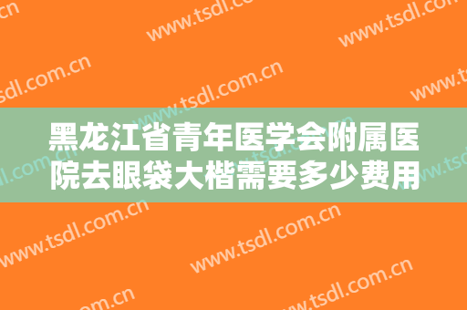 黑龙江省青年医学会附属医院去眼袋大楷需要多少费用?可靠吗?