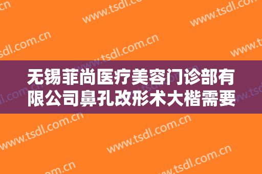 无锡菲尚医疗美容门诊部有限公司鼻孔改形术大楷需要多少费用?好不好?