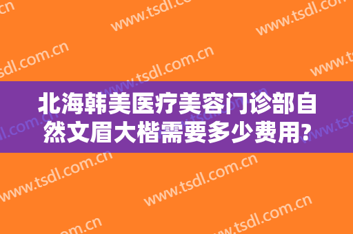 北海韩美医疗美容门诊部自然文眉大楷需要多少费用?贵不贵?