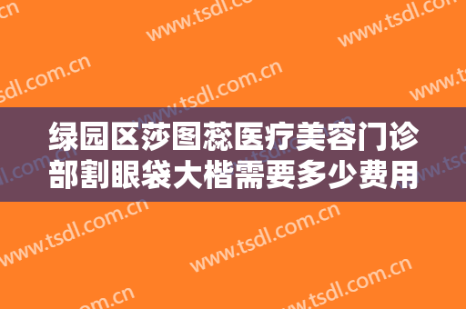 绿园区莎图蕊医疗美容门诊部割眼袋大楷需要多少费用?可靠吗?