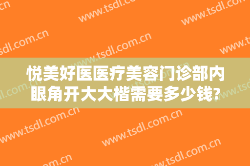 悦美好医医疗美容门诊部内眼角开大大楷需要多少钱?效果怎么样?