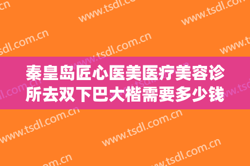 秦皇岛匠心医美医疗美容诊所去双下巴大楷需要多少钱?可靠吗?(秦皇岛做双眼皮多少钱)