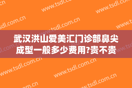 武汉洪山爱美汇门诊部鼻尖成型一般多少费用?贵不贵?(武汉洪山爱美汇整形美容怎么样)