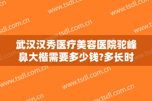 武汉汉秀医疗美容医院驼峰鼻大楷需要多少钱?多长时间恢复?