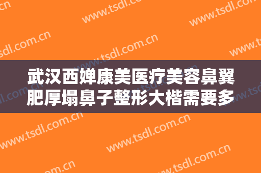 武汉西婵康美医疗美容鼻翼肥厚塌鼻子整形大楷需要多少钱?贵不贵?