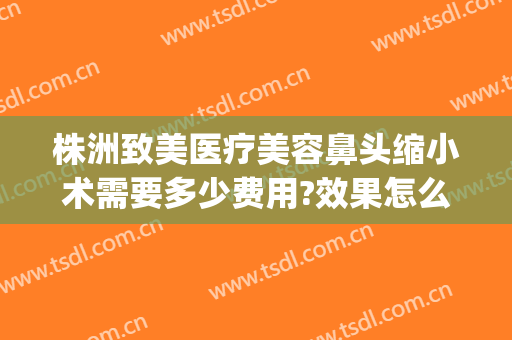 株洲致美医疗美容鼻头缩小术需要多少费用?效果怎么样?(鼻头缩小手术的费用)