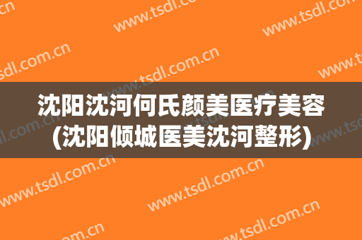 沈阳沈河何氏颜美医疗美容(沈阳倾城医美沈河整形)