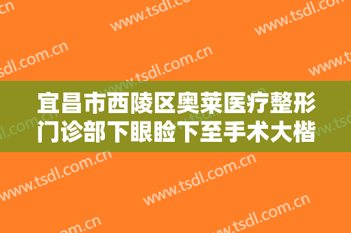 宜昌市西陵区奥莱医疗整形门诊部下眼睑下至手术大楷需要多少钱?效果怎么样?