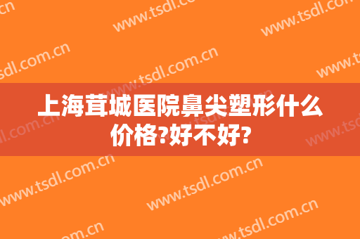 上海茸城医院鼻尖塑形什么价格?好不好?