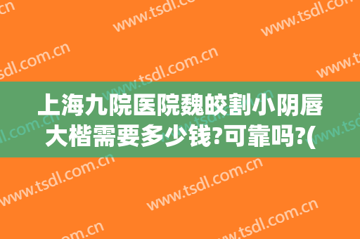 上海九院医院魏皎割小阴唇大楷需要多少钱?可靠吗?(上海九院魏皎怎么样啊)