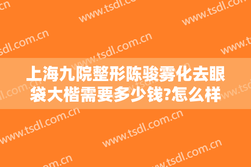 上海九院整形陈骏雾化去眼袋大楷需要多少钱?怎么样?