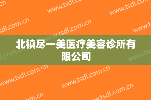 北镇尽一美医疗美容诊所有限公司