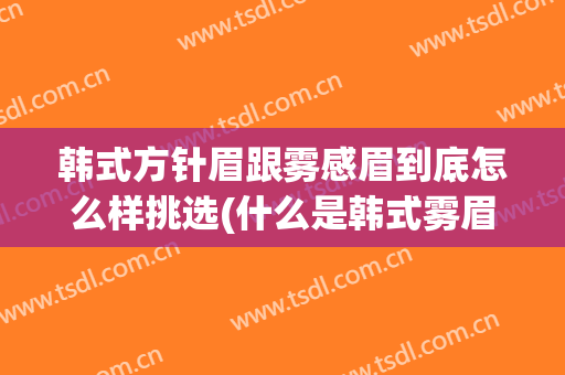 韩式方针眉跟雾感眉到底怎么样挑选(什么是韩式雾眉)