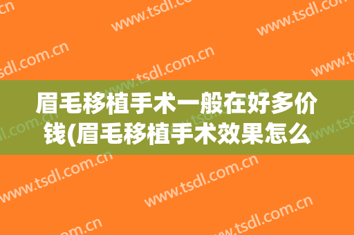 眉毛移植手术一般在好多价钱(眉毛移植手术效果怎么样)