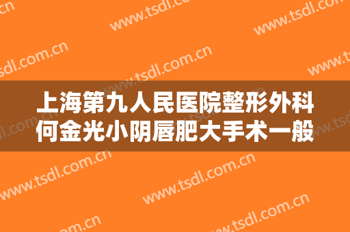 上海第九人民医院整形外科何金光小阴唇肥大手术一般价位是多少钱?可靠吗?