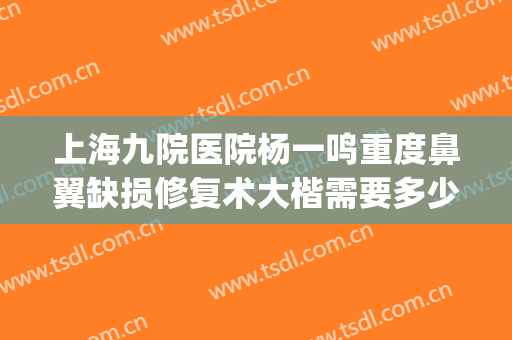 上海九院医院杨一鸣重度鼻翼缺损修复术大楷需要多少费用?好不好?(上海九院做鼻翼缩小手术需要多少钱)