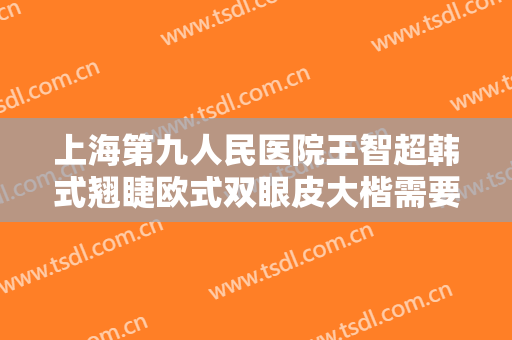 上海第九人民医院王智超韩式翘睫欧式双眼皮大楷需要多少费用?怎么样?