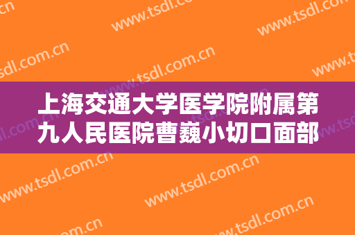上海交通大学医学院附属第九人民医院曹巍小切口面部提升需要多少费用?怎么样?