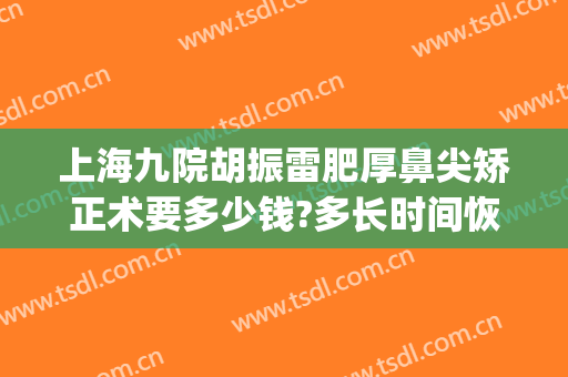 上海九院胡振雷肥厚鼻尖矫正术要多少钱?多长时间恢复?(上海九院鼻整形专家)