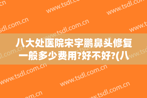 八大处医院宋宇鹏鼻头修复一般多少费用?好不好?(八大处鼻子整形多少钱)