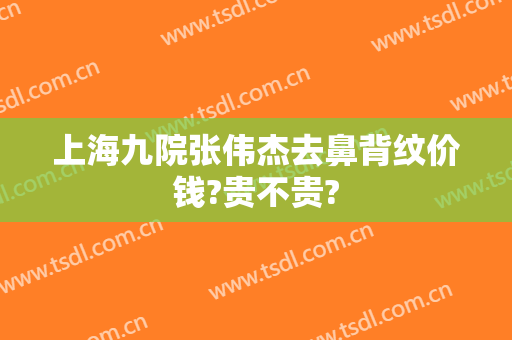 上海九院张伟杰去鼻背纹价钱?贵不贵?