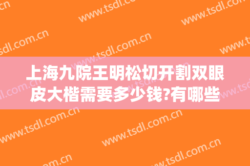 上海九院王明松切开割双眼皮大楷需要多少钱?有哪些优势?(上海九院整形科双眼皮专家有哪些)