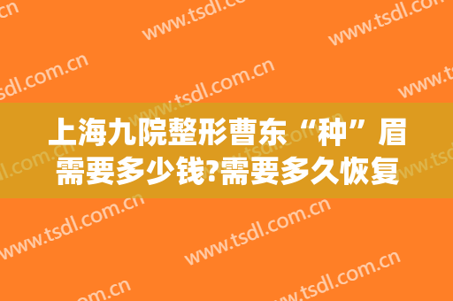 上海九院整形曹东“种”眉需要多少钱?需要多久恢复?(上海九院做眉毛多少钱)