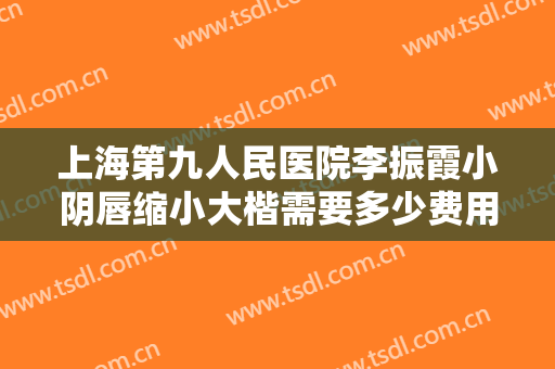 上海第九人民医院李振霞小阴唇缩小大楷需要多少费用?贵不贵?
