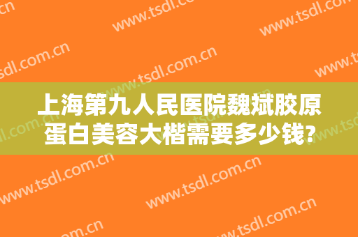 上海第九人民医院魏斌胶原蛋白美容大楷需要多少钱?效果怎么样?