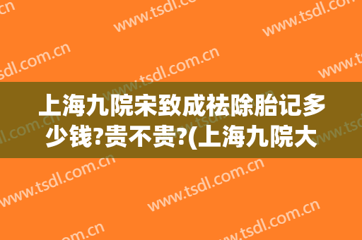 上海九院宋致成祛除胎记多少钱?贵不贵?(上海九院大面积的胎记多少钱)