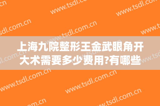 上海九院整形王金武眼角开大术需要多少费用?有哪些优势?(上海九院开个双眼皮开眼角多少钱)