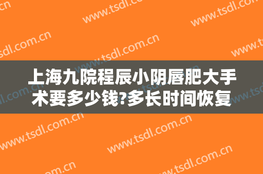 上海九院程辰小阴唇肥大手术要多少钱?多长时间恢复?