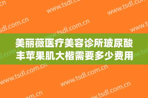 美丽薇医疗美容诊所玻尿酸丰苹果肌大楷需要多少费用?贵不贵?(玻尿酸丰苹果肌多少钱)