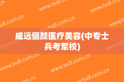 威远俪颜医疗美容(中专士兵考军校)