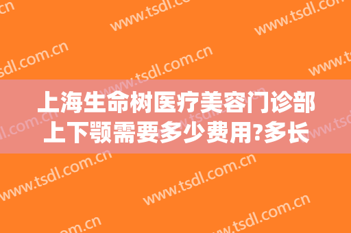 上海生命树医疗美容门诊部上下颚需要多少费用?多长时间恢复?(上海生命树医疗美容门诊部有限公司)