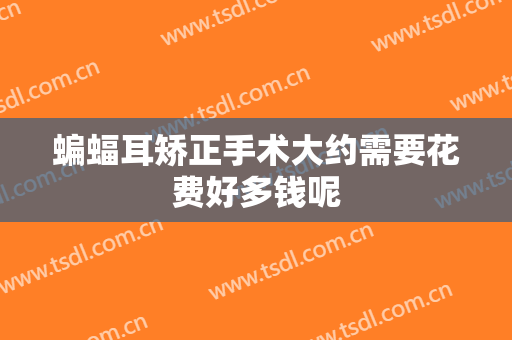 蝙蝠耳矫正手术大约需要花费好多钱呢