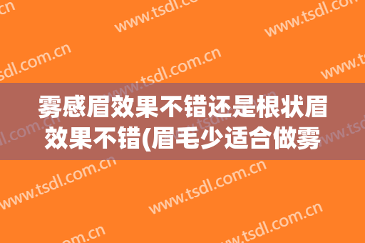 雾感眉效果不错还是根状眉效果不错(眉毛少适合做雾眉还是根状眉)