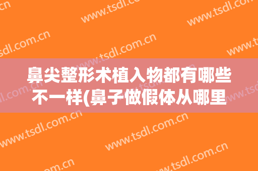 鼻尖整形术植入物都有哪些不一样(鼻子做假体从哪里植入)