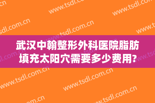 武汉中翰整形外科医院脂肪填充太阳穴需要多少费用?可靠吗?(公立医院脂肪填充多少钱)