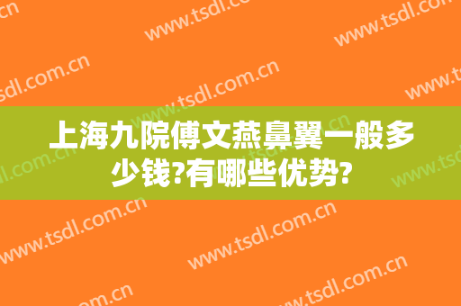 上海九院傅文燕鼻翼一般多少钱?有哪些优势?
