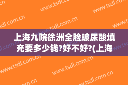 上海九院徐洲全脸玻尿酸填充要多少钱?好不好?(上海九院整形抽脂多少钱)