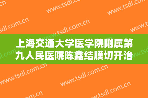 上海交通大学医学院附属第九人民医院陈鑫结膜切开治疗眼袋需要多少钱?贵不贵?