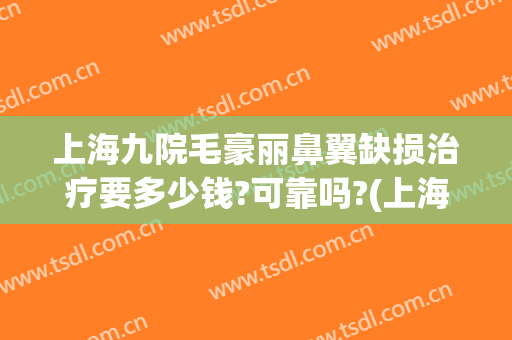 上海九院毛豪丽鼻翼缺损治疗要多少钱?可靠吗?(上海九院缩鼻翼多少钱)