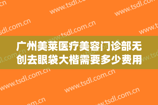 广州美莱医疗美容门诊部无创去眼袋大楷需要多少费用?好不好?(广州内切祛眼袋价格/美莱医院广州)