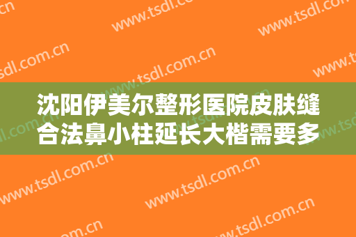 沈阳伊美尔整形医院皮肤缝合法鼻小柱延长大楷需要多少费用?效果怎么样?